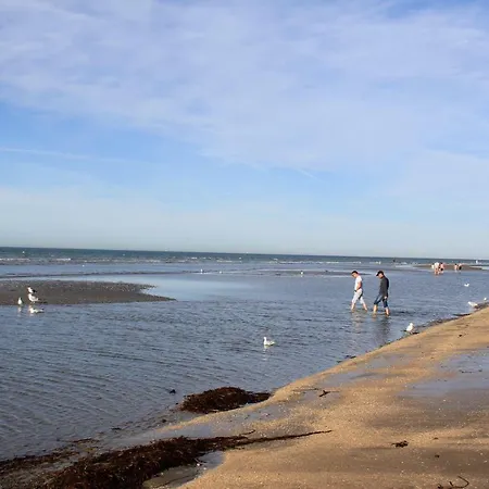 La Voile - Het Zeil - The Sail * De Panne